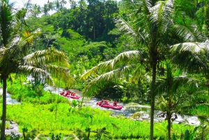 Bali: Telaga Waja White Water River Guidet rafting og lunsj