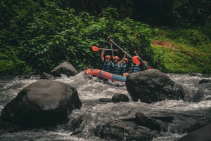 Bali: Telaga Waja White Water River Guidet rafting og lunsj