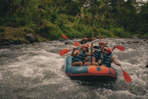 Bali: Telaga Waja White Water River Guidet rafting og lunsj