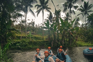 Bali: Telaga Waja White Water River Guidet rafting og lunsj