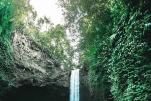 Bali: privat tur till tempel, vattenfall och risterrasser