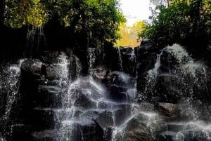 Bali: privat tur till tempel, vattenfall och risterrasser