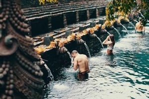 Bali: privat tur till tempel, vattenfall och risterrasser