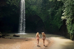 Bali: Temple, Waterfall, and Rice Terrace Private Tour
