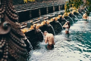 Bali: Temple, Waterfall, and Rice Terrace Private Tour