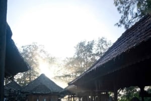 Tour spirituale tra templi e cascate sugli altopiani di Bali