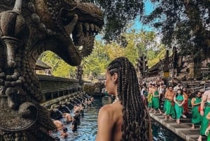 Tour spirituale tra templi e cascate sugli altopiani di Bali