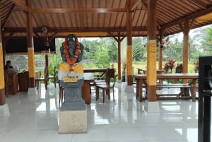 Bali: Aitoja jokiseikkailuja Gekko Tubing Balin kanssa