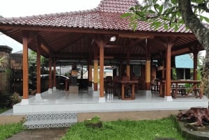 Bali: Aitoja jokiseikkailuja Gekko Tubing Balin kanssa