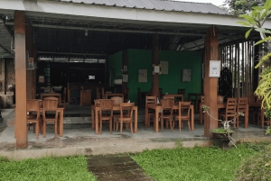 Bali: Aitoja jokiseikkailuja Gekko Tubing Balin kanssa