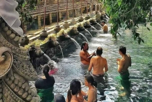 Bali: The Ultimate Motor Bike Tour from Kintamani to Ubud