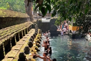 Bali: The Ultimate Motor Bike Tour from Kintamani to Ubud