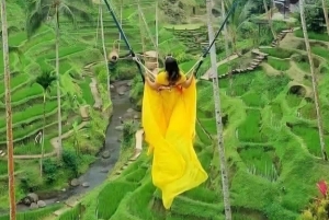 Bali: The Ultimate Motor Bike Tour from Kintamani to Ubud