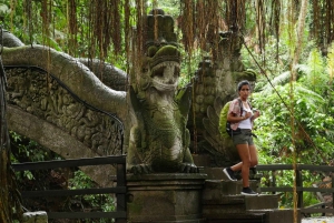Bali: Three Day Island Tour
