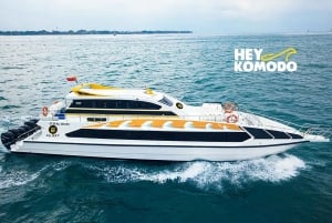 Bali: Billet til hurtigbåd mellem Sanur og Nusa Penida