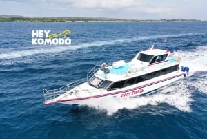 Bali: Schnellboot zwischen Sanur und Nusa Penida Ticket