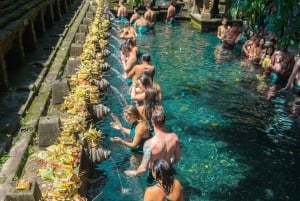 Bali: Tirta Empul Melukat-ceremonie en soundhealing-tour
