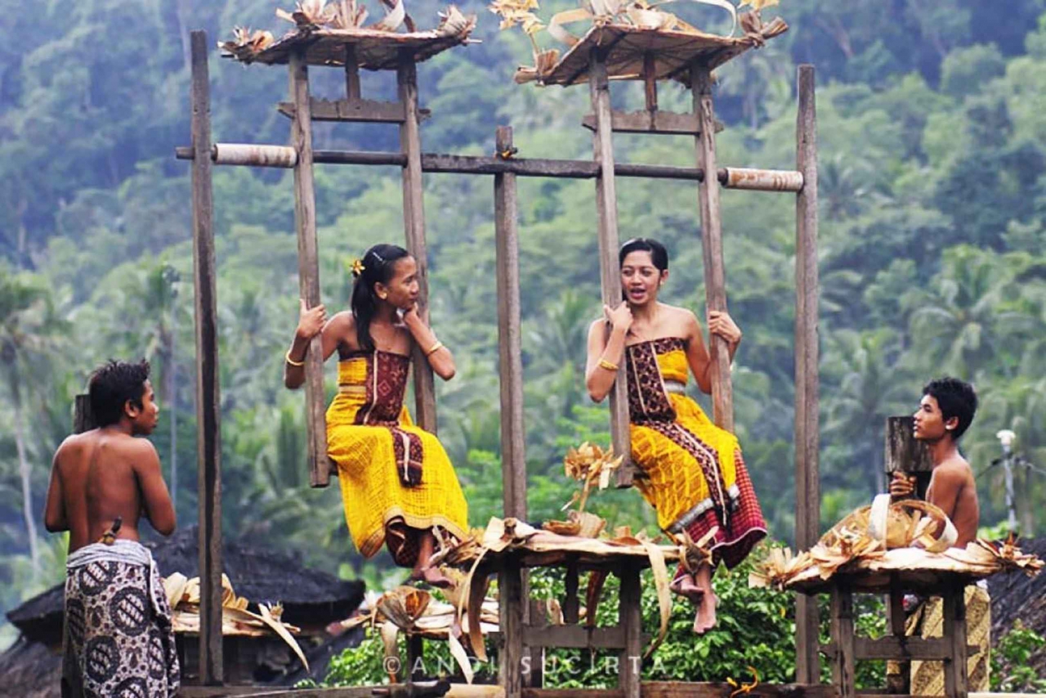 Bali: Tirta Gangga, Taman Ujung and Tenganan Village Tour