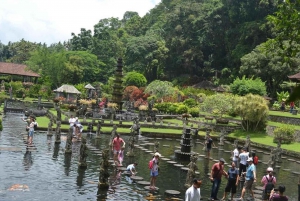 Bali: Tirta Gangga, Taman Ujung and Tenganan Village Tour