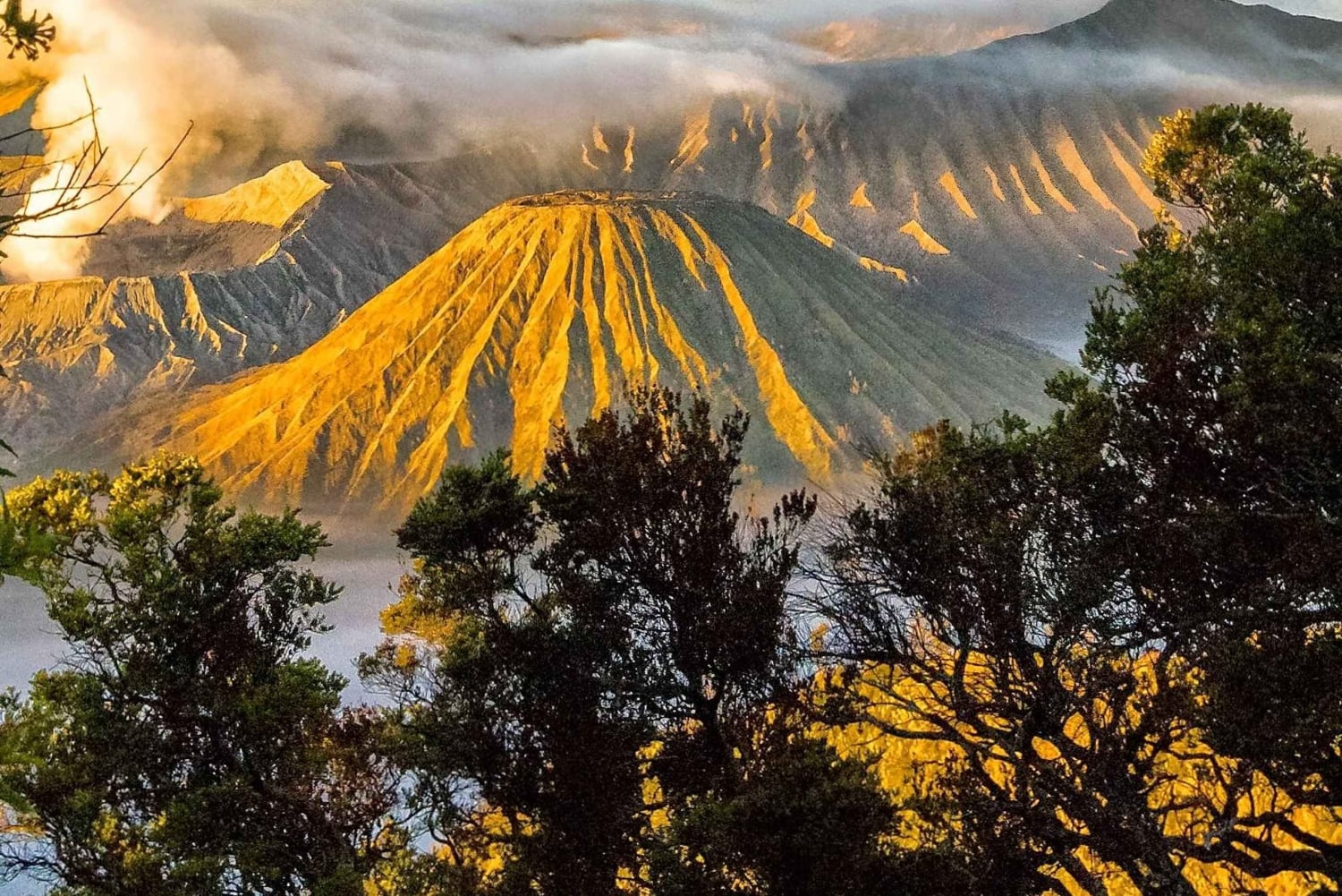 bali til java: bromo, ijen, tumpak sewu, borobudur, Prambanan