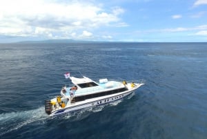 Bali to Nusa Lembongan Island: Fast Boat Transfer