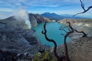 De Bali à Yogya : Bromo, Ijen, Tumpak sewu, Prambanan, Borobudur