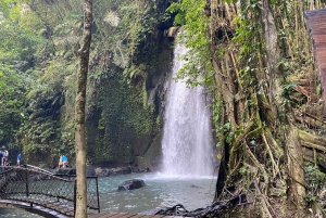 Las 3 Cascadas de Bali Top - Templo y Terraza de Arroz