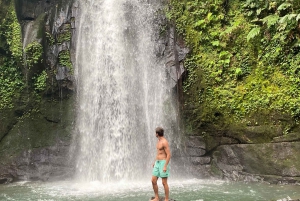 Las 3 Cascadas de Bali Top - Templo y Terraza de Arroz