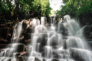 Bali: De 3 bedste vandfald. Tempel og risterrasse
