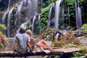 Bali: De 3 bedste vandfald. Tempel og risterrasse
