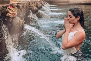 Bali: De 3 bedste vandfald. Tempel og risterrasse