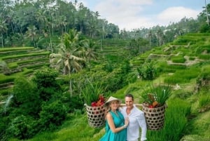 Bali: De 3 bedste vandfald. Tempel og risterrasse
