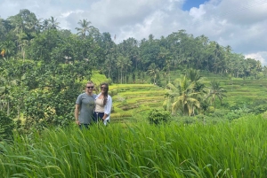 Bali: De 3 bedste vandfald. Tempel og risterrasse