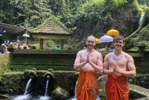 Bali: De 3 bedste vandfald. Tempel og risterrasse