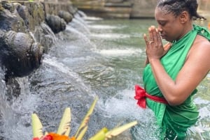 Bali: De 3 bedste vandfald. Tempel og risterrasse