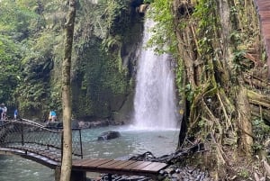 Bali: De 3 bedste vandfald. Tempel og risterrasse