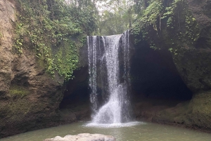 Bali: De 3 bedste vandfald. Tempel og risterrasse