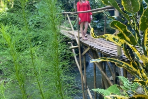 Bali: De 3 bedste vandfald. Tempel og risterrasse