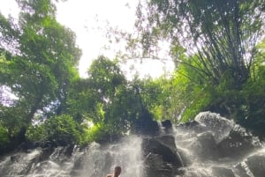 Bali: De 3 bedste vandfald. Tempel og risterrasse