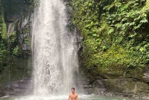 Bali: De 3 bedste vandfald. Tempel og risterrasse