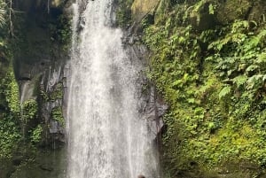 Bali: De 3 bedste vandfald. Tempel og risterrasse