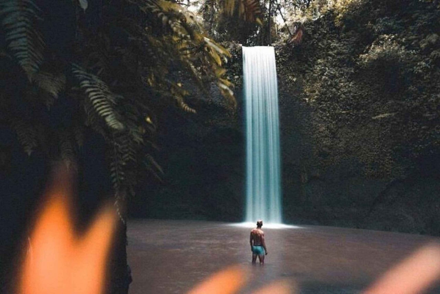 Bali Tops vattenfall och risterrass Tour