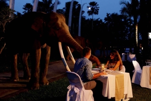 Bali Tour: diner met wilde dieren in de dierentuin
