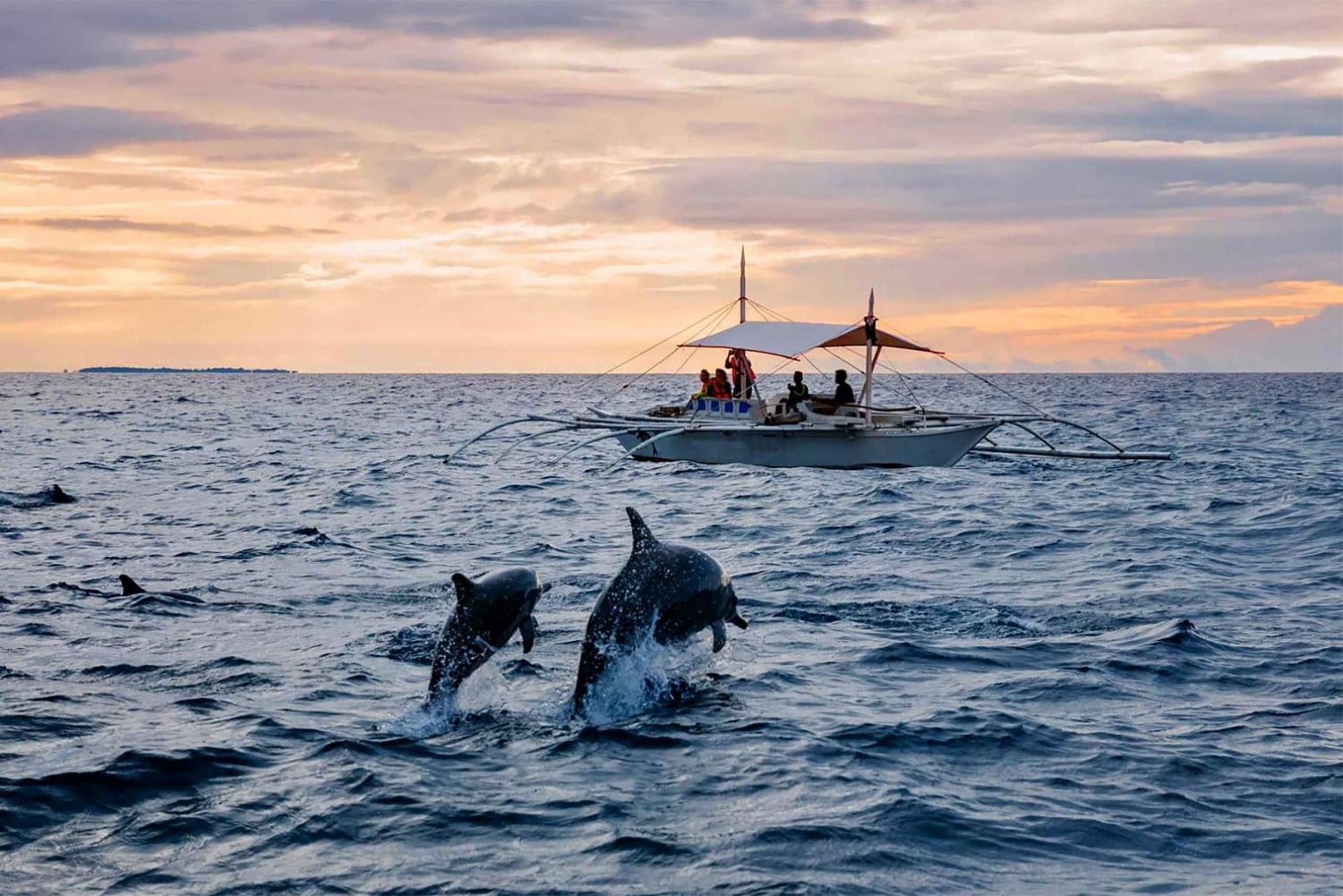 Bali: Simma med delfiner i Lovina