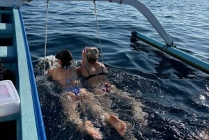 Bali: Simma med delfiner i Lovina