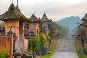 Bali: Tradisional Village, Bamboo Forest & Temple Tour