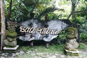 Bali: Tradisional Village, Bamboo Forest & Temple Tour