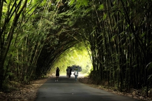 Bali: Tradisional Village, Bamboo Forest & Temple Tour