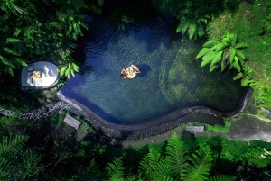 Bali: Tradisional Village, Bamboo Forest & Temple Tour