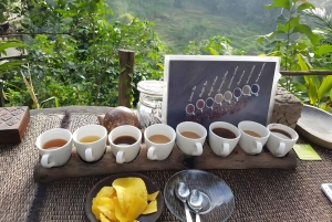 Bali: Tradisional Village, Bamboo Forest & Temple Tour